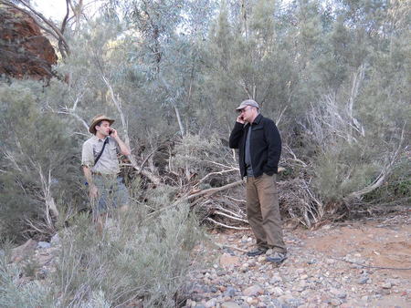 Testing in the bush